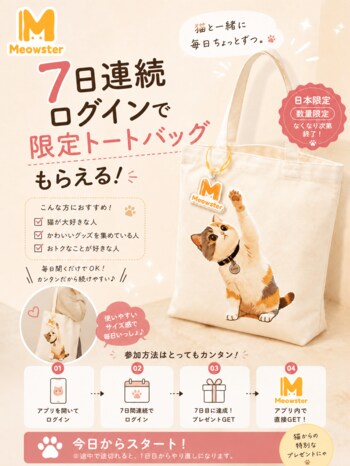 【特別企画】7日間会いに来てくれたあなたに、夏のプレゼントを。Meowster「初夏の7日間キャンペーン」開催