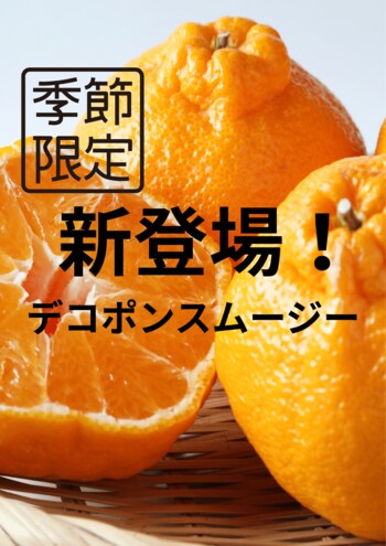 飲泉堂「デコポンスムージー」新登場！