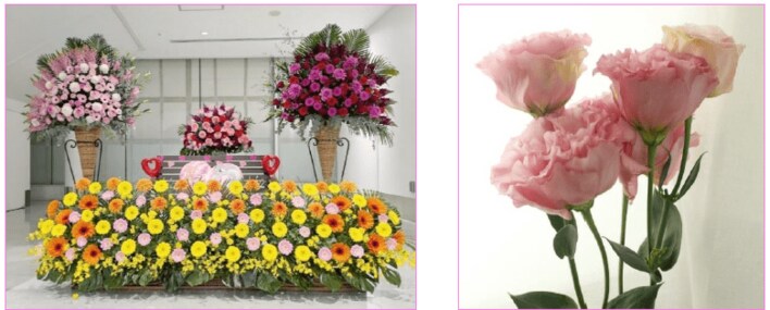 大切な方に感謝の気持ちを伝えませんか？フラワーバレンタイン初開催