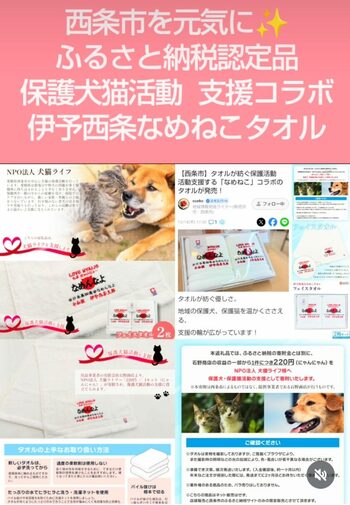 砂を舐めて生き延びた仔猫への「18年越しの恩返し」。昭和の人気者「なめねこ」が、愛媛県西条市の保護犬猫を救う支援グッズに！