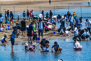 日本初※の「潮干狩りチャンピオンシップ」を開催!!