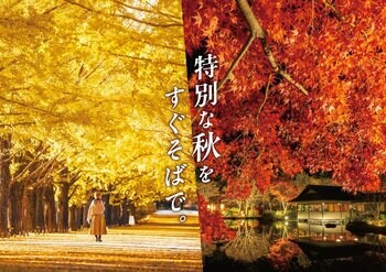 黄葉・紅葉まつり＆秋の夜散歩2026開催｜国営昭和記念公園