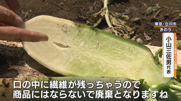 危険】関東で今年初の猛暑日 熱中症で死者も…暑さで野菜にも異変