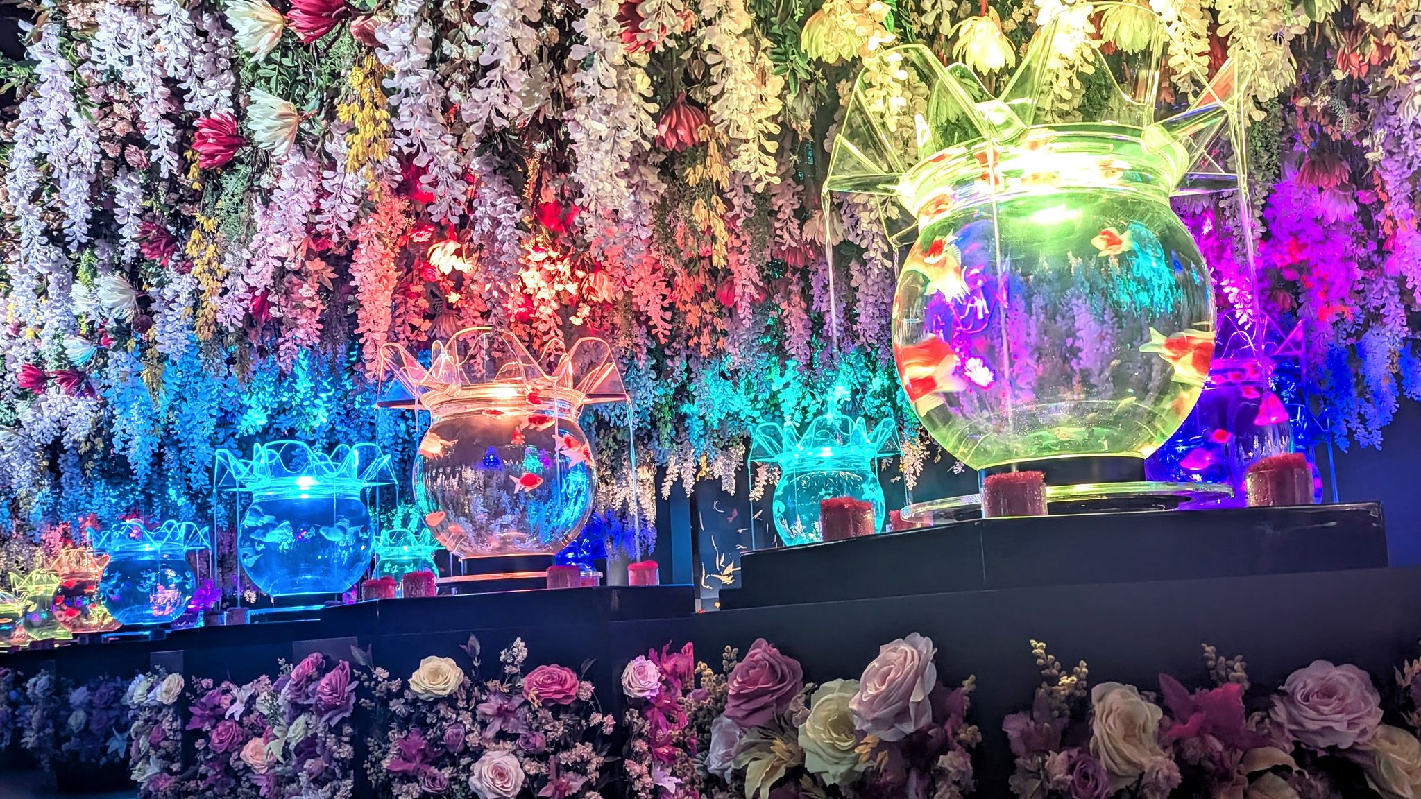 夏の粋な涼体験！】特別企画開催中の「アートアクアリウム美術館 GINZA