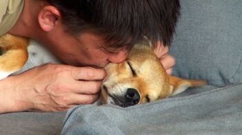 坂上忍 犬5匹＆猫10匹迎え入れ怒涛の日々「『バイキング』どころじゃない」