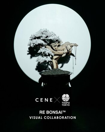 【CENE(セネ)】RE BONSAI(TM)を手がけるアートブランド「TOUFU TOKYO」とのビジュアルコラボレーションを公開