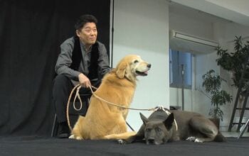 坂上忍と愛犬サンタ＆コウタがファッション誌「Numero TOKYO」3月号で表紙デビュー！