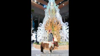 MISIA「皆さんにとって、素晴らしいクリスマスになりますように」巨大ツリーに光を灯す