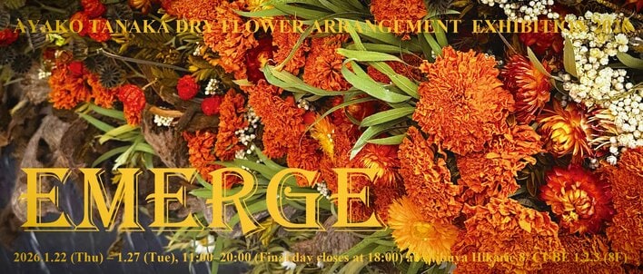 渋谷ヒカリエ8/CUBE 1,2,3で開催｜花のアート「EMERGE（エマージ）」展｜アヤコタナカドライフラワーアレンジメント