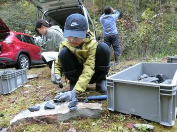 【飛騨高山・岐阜県高山市】化石発掘教室参加者を募集します