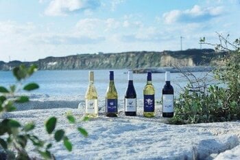 【JAF千葉】貸切列車で開催「ワインソムリエと楽しむ！～銚電ＪＡＦ号崖っぷち行～」