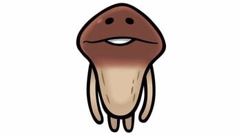 なぜ？14年前リリースの『なめこ栽培キット』が再ブーム！人気再燃の背景に“たまごっちとの共通点” 担当者を取材