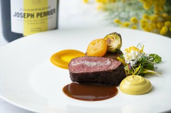 渋谷の夜景と感謝を贈るミモザイエローのディナー「Mimosa Night “Merci” ｜ミモザナイト メルシー」を2026年2月21日（土）より開催