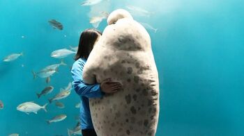 【でっか…】実寸大！？特大のゴマフアザラシぬいぐるみにSNS騒然「絶対に欲しい！」海外からも注目集まる！