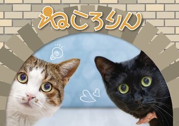 猫好き集まれ！愛眼の「ねころりん」メガネに公式キャラクター登場！メインクーンモデルも登場。