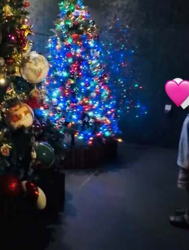 新品 匿名配送 浜崎あゆみ 加湿器 レア Aマーク BRUNO ブルーノ img_4b04b859643369196d5cf11c9b