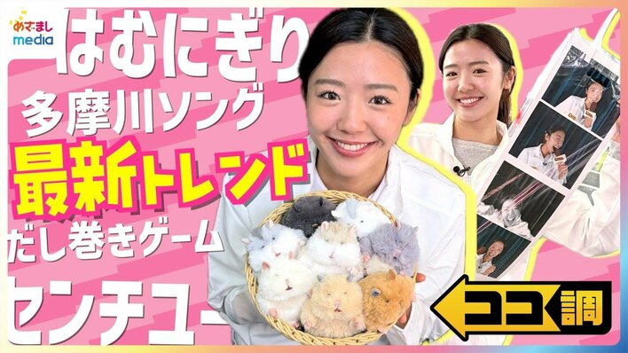 【ココ調】めざましテレビ放送内容　総まとめ