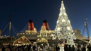 ディズニーシー クリスマスに思わずうっとり！夜のイルミできらびやかに輝く巨大ツリーや限定フードを林佑香キャスターが体験