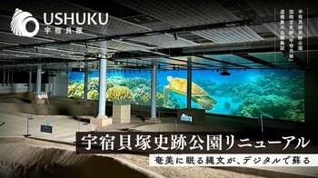 奄美に眠る縄文が、デジタルで蘇る──宇宿貝塚史跡公園、リニューアルオープン