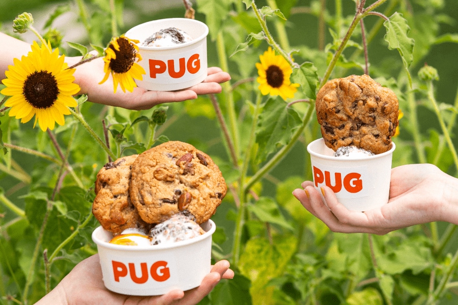 img_96f6f9a3e604be6a84eab7494a