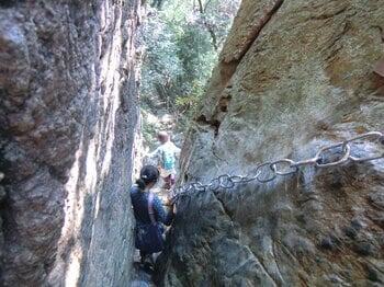 【福岡県 篠栗町】巡拝者減少が進む霊峰「若杉山」　弘法大師空海ゆかり、1200年の祈りが息づく聖地の価値をあらためて発信