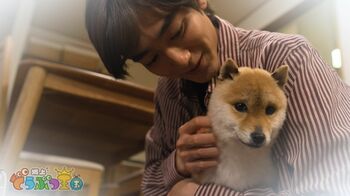 駒木根葵汰 坂上忍の“動物愛”に「尊敬しかない」再現ドラマで“若き日”を演じる