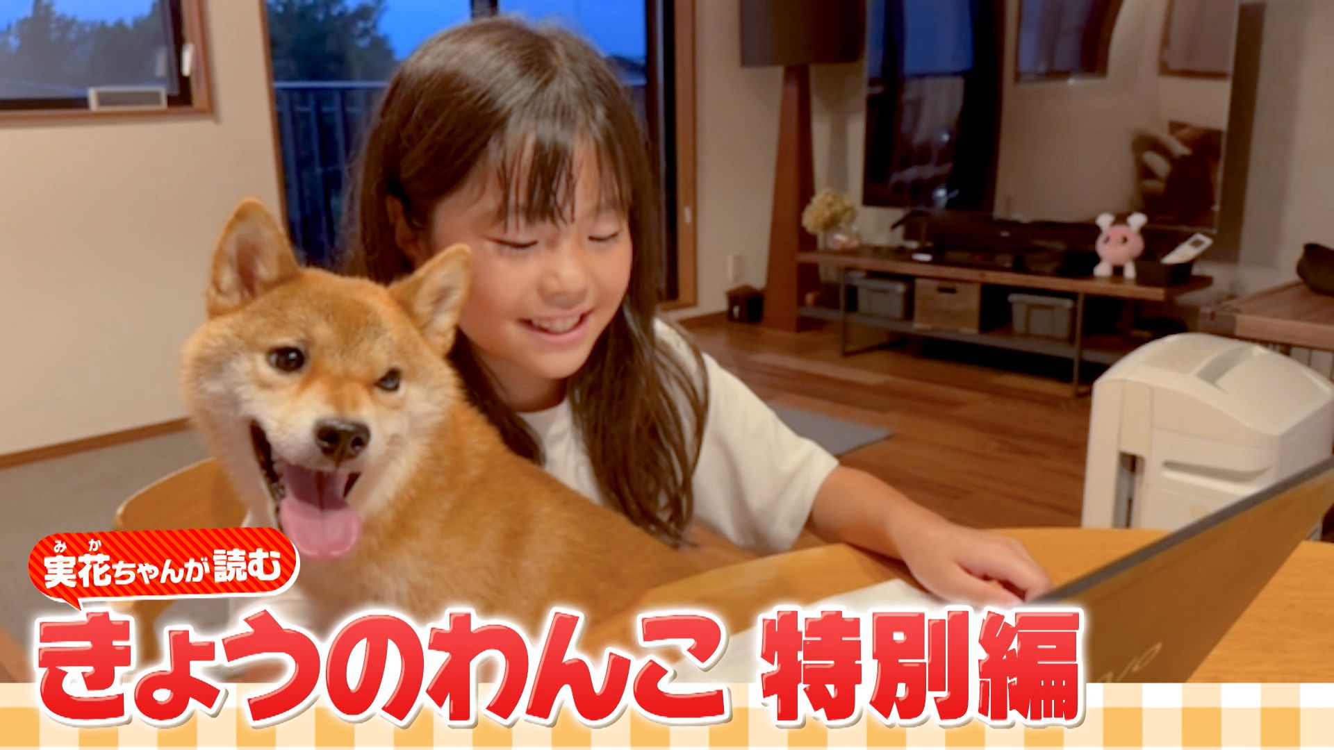 今日 の わんこ