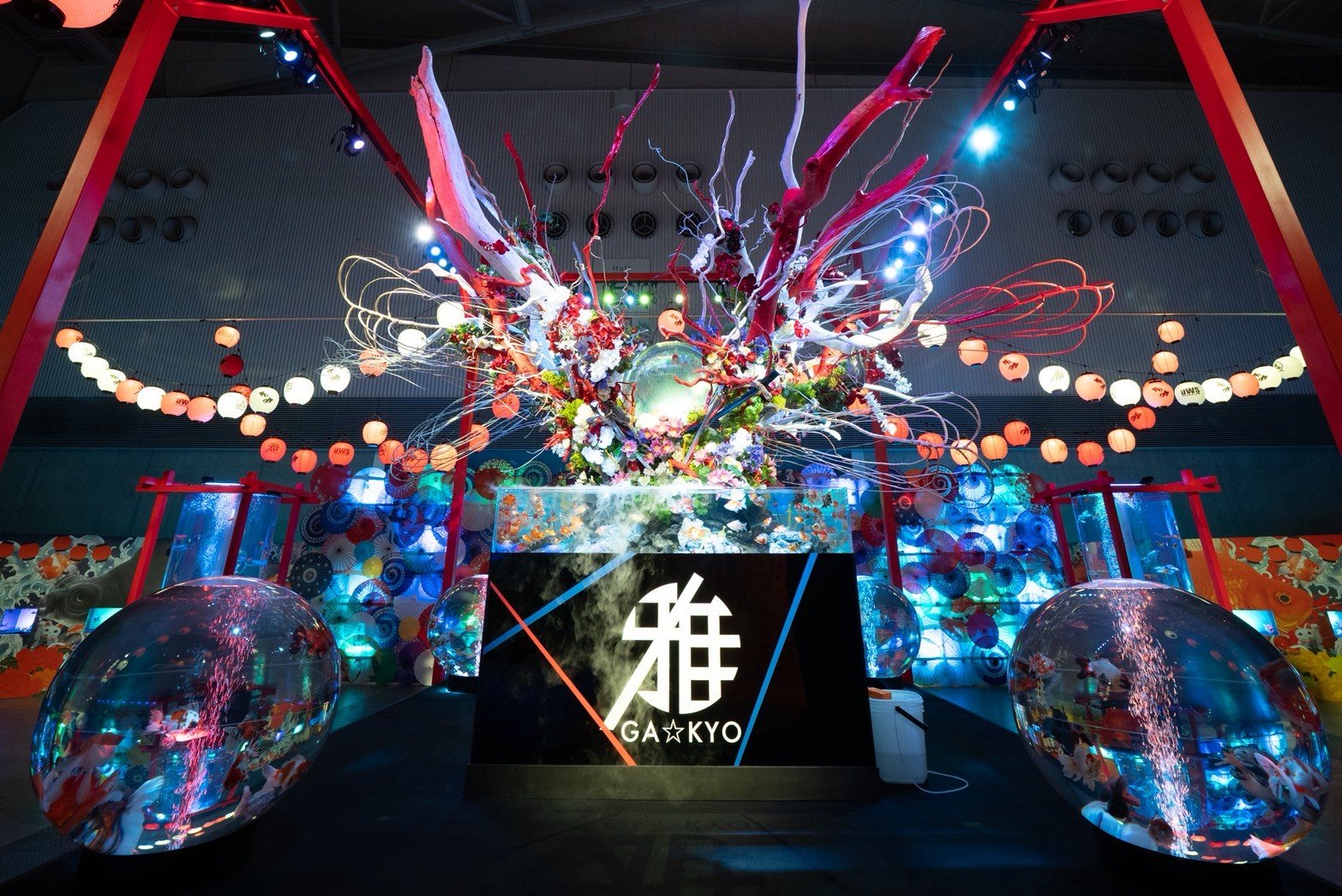 圧巻の高さ 6m のアート水槽に包まれる没入空間「錦鯉・金魚