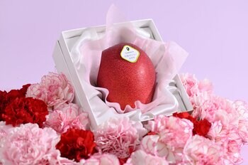 母の日限定ギフト 発売のお知らせ