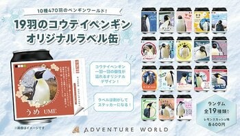 １９羽のコウテイペンギン、一羽一羽の“名前”と“個性”がオリジナルラベルに！アドベンチャーワールド×サントリー「TAG-LIVE！LABEL」オリジナルラベル缶 全１９種が９月１７日（木）より登場！