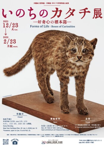 【沖縄県立博物館・美術館】いのちのカタチ展―好奇心の標本箱―