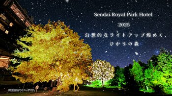 【仙台ロイヤルパークホテル】「幻想的なライトアップ煌めく、ひかりの森」／2025年11月1日(土)より開催