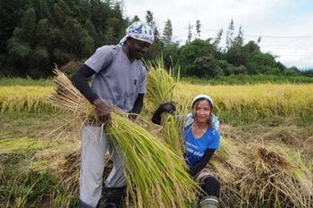 【第15回クボタ・毎日地球未来賞「大賞」を受賞しました】