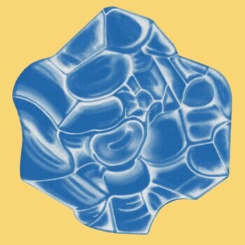 海をイメージした曲をプレイリストでお届けする『潮騒RADIO』公開中