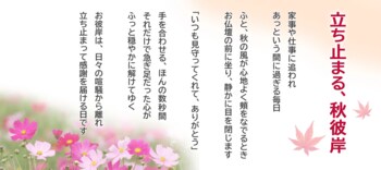 【2026年 秋彼岸】忙しい日々の中でも、立ち止まって感謝を伝える時間を。お仏壇のはせがわが提案する「現代の暮らしに寄り添うお彼岸の過ごし方」