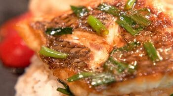 愛媛県「五代目 鯛めし」が“未来に残したい日本一のご当地グルメ”に決定！【FNSご当地うま撮グランプリ】