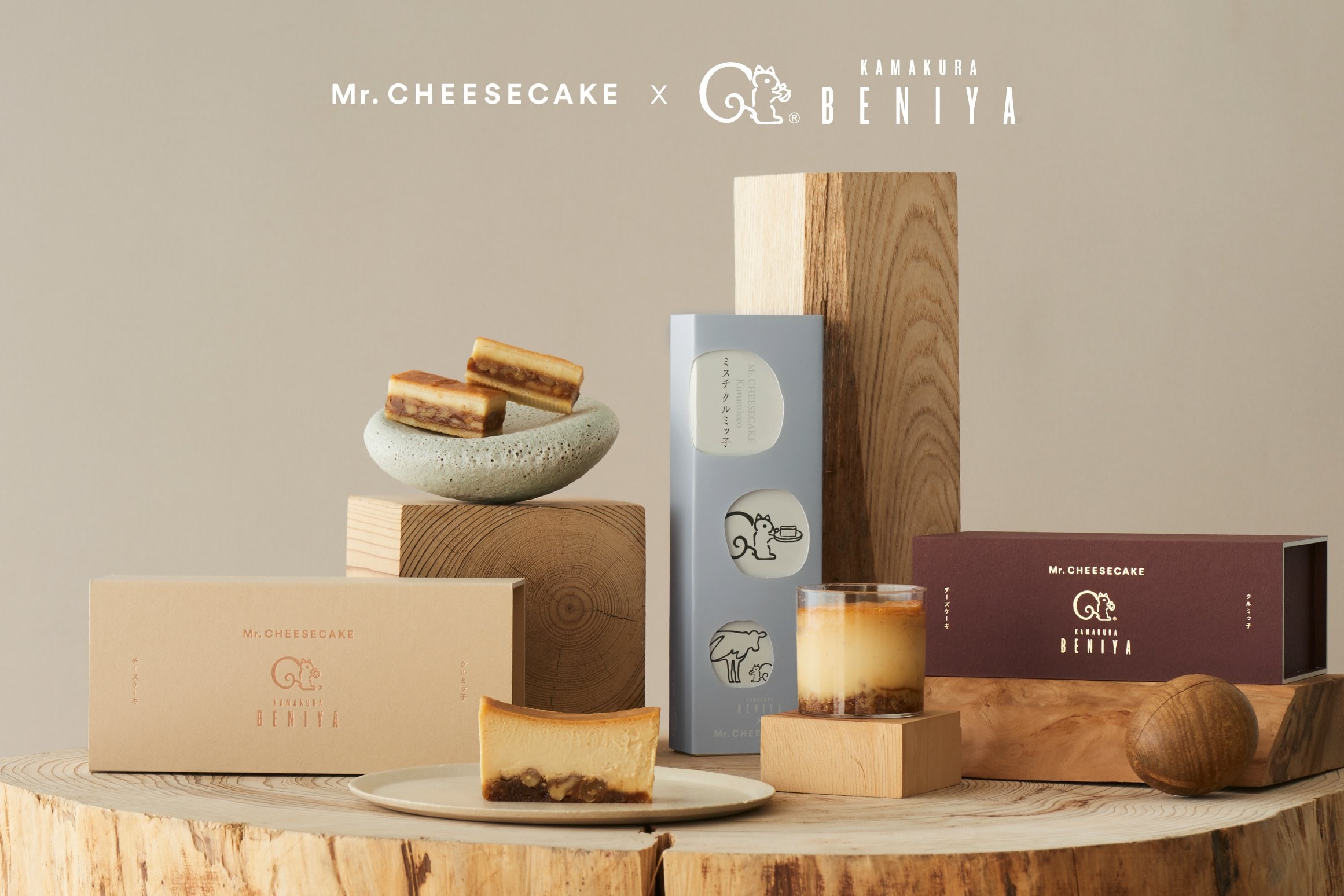 【ミッキー⚠大阪府】貝殻のように丸まる葉が魅力♪コーセーチャメドレア10号 Mr. CHEESECAKEとのコラボレーション商品“Mr. CHEESECAKEを表現