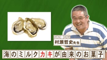 “海のミルク”カキが由来の国民的なお菓子とは？『ネプリーグ』で放送の＜豆知識＞