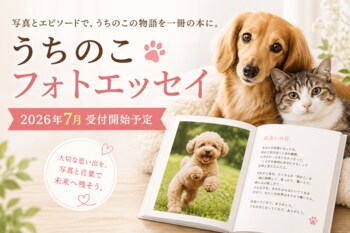 "うちのこ"との思い出を写真と言葉で残す。「うちのこフォトエッセイ」2026年7月より受付開始予定