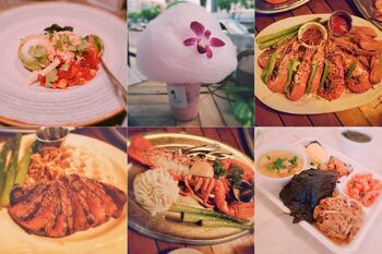 ハワイを楽しむ究極の“飯テロ”ドラマ『アロハ・ソムリエ』の最高に美味しいグルメ＆スポット6選