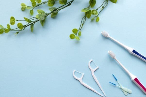 【画像14枚】この記事の解説画像を見る