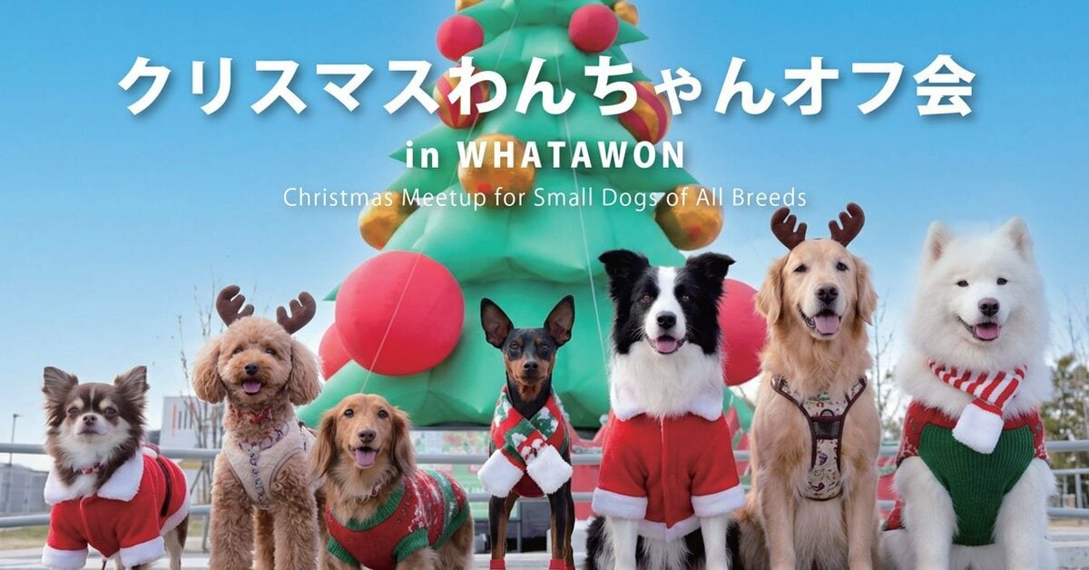 開催迫る！愛犬と行けるクリスマス！小型犬・大型犬別で楽しめる