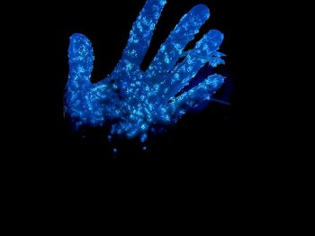 夜は幻想的なウミホタル、翌朝は"生きた化石"カブトガニ放流　休暇村瀬戸内東予、宿泊者限定「ウミホタル発光観察会」を7月18日より開催　～カブトガニ放流は8月3日・16日の2日間限定～