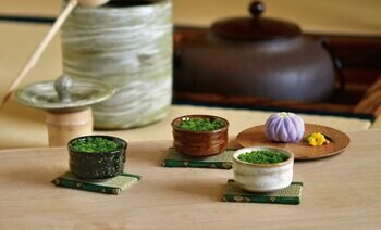 抹茶碗で苔を愛でる栽培キット「抹茶碗苔盆栽」9月14日発売　茶碗の鑑賞文化と盆栽の趣を一つに
