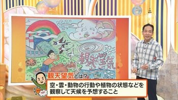 ｢観天望気｣はお天気のサイン「トビが高く飛ぶと晴れ！？」空模様や動物の行動から見る天気予報を天達気象予報士が解説！
