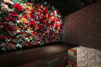 クリスマスを特別に過ごそう！大分・都町「RAISE BAR」から期間限定メニューが登場！