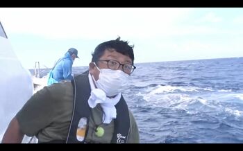 イタチザメ、幻のハチミツ、天然青うなぎ…希少食材をGET！