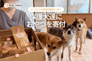 Pets Tokyo、保護犬たちへおやつを寄付。ピースワンコ・ジャパン 世田谷譲渡センターを訪問