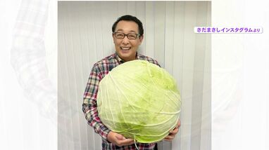 楽天市場】キャベツ（総重量（野菜）10.0 ～ 10.9kg）（野菜