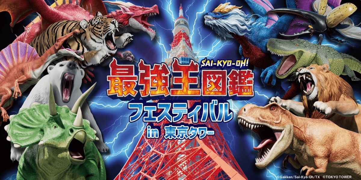 超希少　恐竜キング　全国大会出場参加賞 img_9f940f66564229070333081581